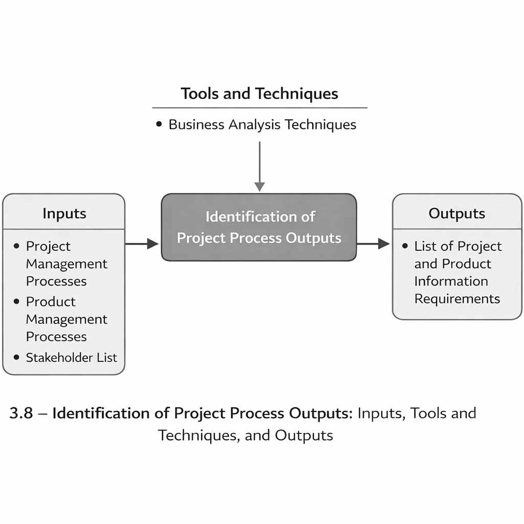 Figure 3-8. Identification of project process outputs